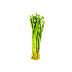 Fresh Taro Stolon (Loti) Isolated on Transparent Background