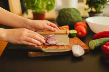 Woman cutting fresh vegetables in the kitchen. Healthy cooking, food preparation and lifestyle...