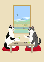 夏の冷茶を飲む2匹の猫