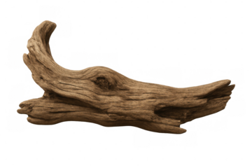 Driftwood with intricate knots and textures isolated on transparent background, perfect for nature-inspired designs