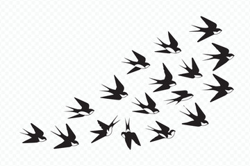 minimalist vector of swallows flying, bird migration silhouette in black and white for nature and wildlife design