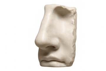 Weathered marble fragment revealing classical roman sculptural details, close-up nose and mouth profile against transparent backdrop