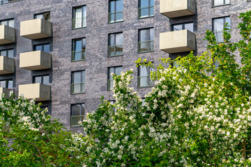 Modern residential building with dark brick facade and rectangular balconies, partially obscured by blooming ornamental trees in spring or early summer. Urban architectural scene.