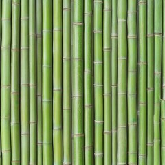 Fototapeta premium Lush Green Bamboo Wall Texture