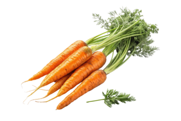 A bunch of fresh carrots with green tops lying on a black surface in a studio setting close up view