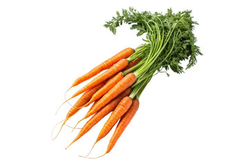 A bunch of fresh carrots with green tops against a black background in a studio setting