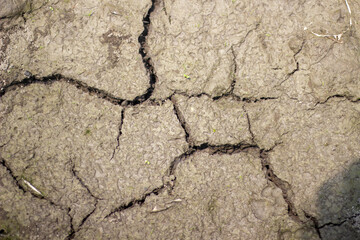 The ground has cracked and become a quagmire.