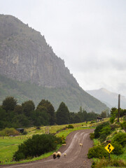 Carretera austral, Chile