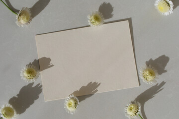 Beautiful spa or wedding card with sunlights shadows, paper blank and gypsophila flowers on neutral background.