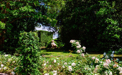 Divine, relaxing landscape statues and fountains villa Valsanzibio of the 16th and 17th centuries,...