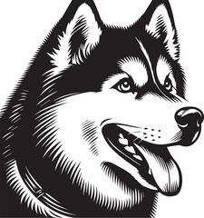 Siberian Husky Dog Vector Illustration in Black and White 