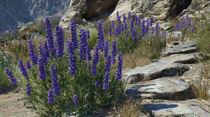 Vibrant purple flowers blooming alongside rocky path in scenic mountainous landscape