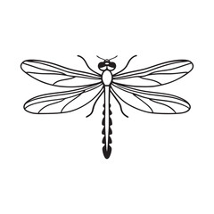 line art of a dragonfly with spread wings
