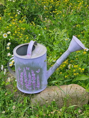 Garden iron watering can near a flower bed