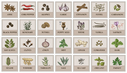 Stickers for kitchen with herbs and spices