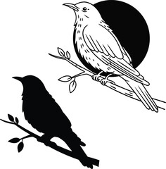 Perched Nightingale Outline Vector Illustration  
