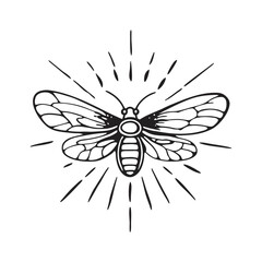 line art of firefly glowing insects on the white background