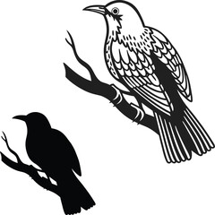 Nightingale Silhouette in Details Vector Illustration  
