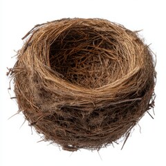 A detailed close up of an empty bird nest made of twigs and grass
