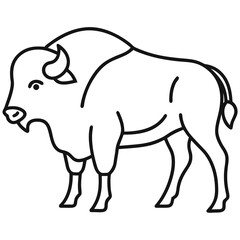 Bison on white background