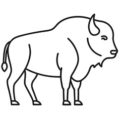 Bison on white background