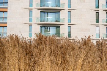 Bundled reeds in the foreground, modern facade with balconies and glass in the background. Contrast between natural material and urban residential building.