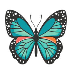 Colorful butterfly . Vector illustration