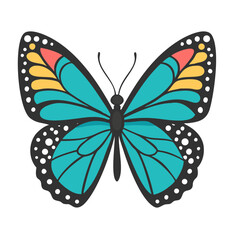 Colorful butterfly . Vector illustration
