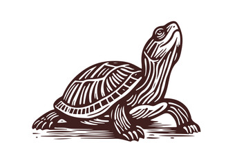 Yellow-Bellied Slider Hand Drawn Natural Illustration Stylized as Linocut Vector Isolated by AZ for Books, Arts, Design and Decoration Graphic Asset