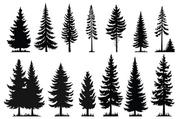 Obraz premium Evergreen forest tree vector collection – isolated pine and fir tree shapes