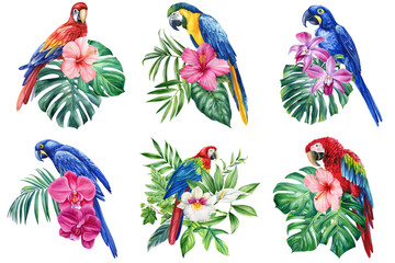 Watercolor set birds. Macaw parrots with orchid, hibiscus flower and green palm monstera tropical leaf on white background