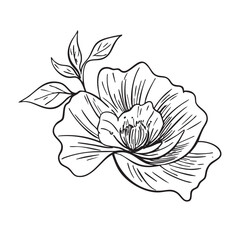 Hand drawn abstract flower and branch. Vector illustration. Black and white. Flower vintage sketch. Engraved image for desin, packaging, flyer
