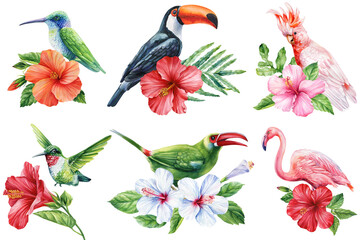 Tropical birds with hibiscus watercolor clipart set for summer exotic floral designs wedding invitations wall art and jungle decor