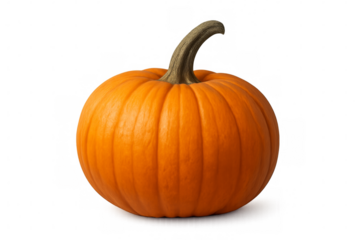 Ripe orange pumpkin isolated on transparent background representing autumn harvest