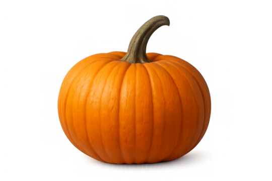 Ripe orange pumpkin isolated on transparent background representing autumn harvest