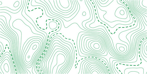 Fototapeta premium The green on white contours topography stylized relief diagram line wave carve pattern background