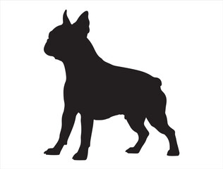 Boston Terrier Dog Silhouette
