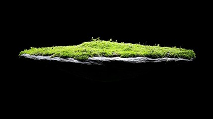 Fototapeta premium Floating green moss island on black background, nature and zen concept