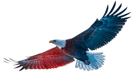 Obraz premium silhouette of an eagle with its wings spread wide