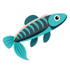 Simple Killifish Vector Illustration on a White Background