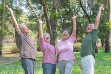 Fototapeta premium A group of four elderly men and women raise their arms to show satisfaction with the work they have done for the park.