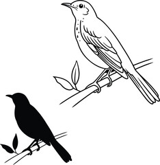 Forest Nightingale Bird Vector Illustration  
