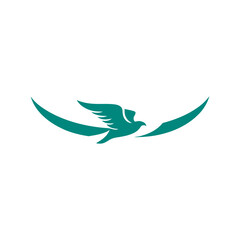 Teal bird logo