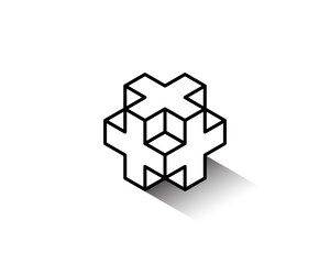 Simple 3d wire frame outline Grayscale Isometric X or Plus + Sing Cube Logo Design