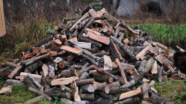Unloading firewood and throwing it in a pile. Close-up.