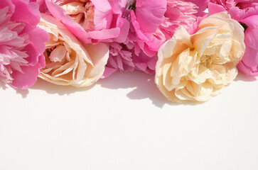 Bright pink peonies and creamy roses arranged in a horizontal row on a white background. Floral...
