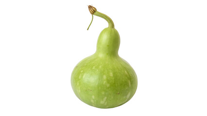 calabash bottle gourd isolated on transparent background 