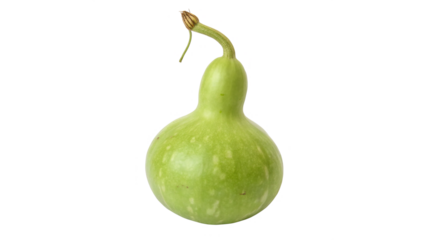 calabash bottle gourd isolated on transparent background 