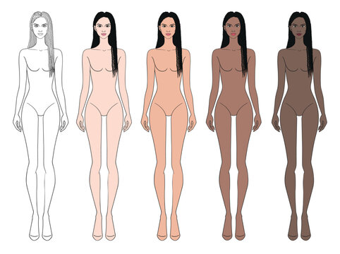 Colored skin tones fashion croquis figurines with long braids hair woman in vector.