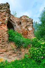 Ruins of Church of St. Peter and Paul in village of Vyshov, Mogilev region, Belarus. Summer rural landscape